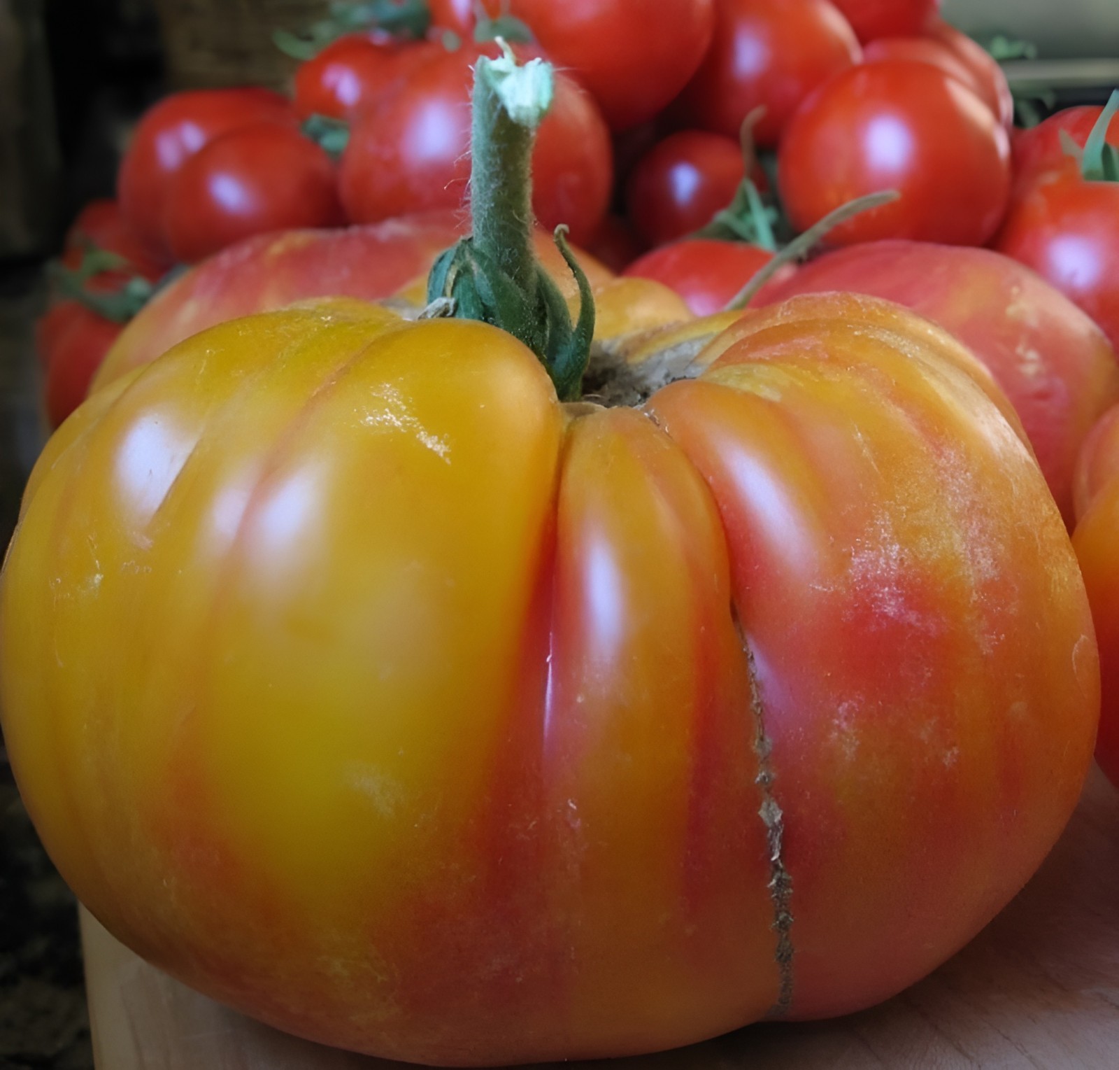 Bi-Color Heirloom Tomato Combo – 4 Varieties – 50 Seeds Each – 200 Seeds Total