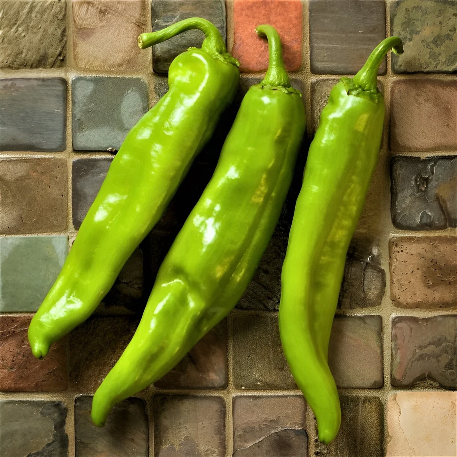 New Mexico Big Jim Mild Chili Pepper 15 Seeds- NuMex Hatch Ristra