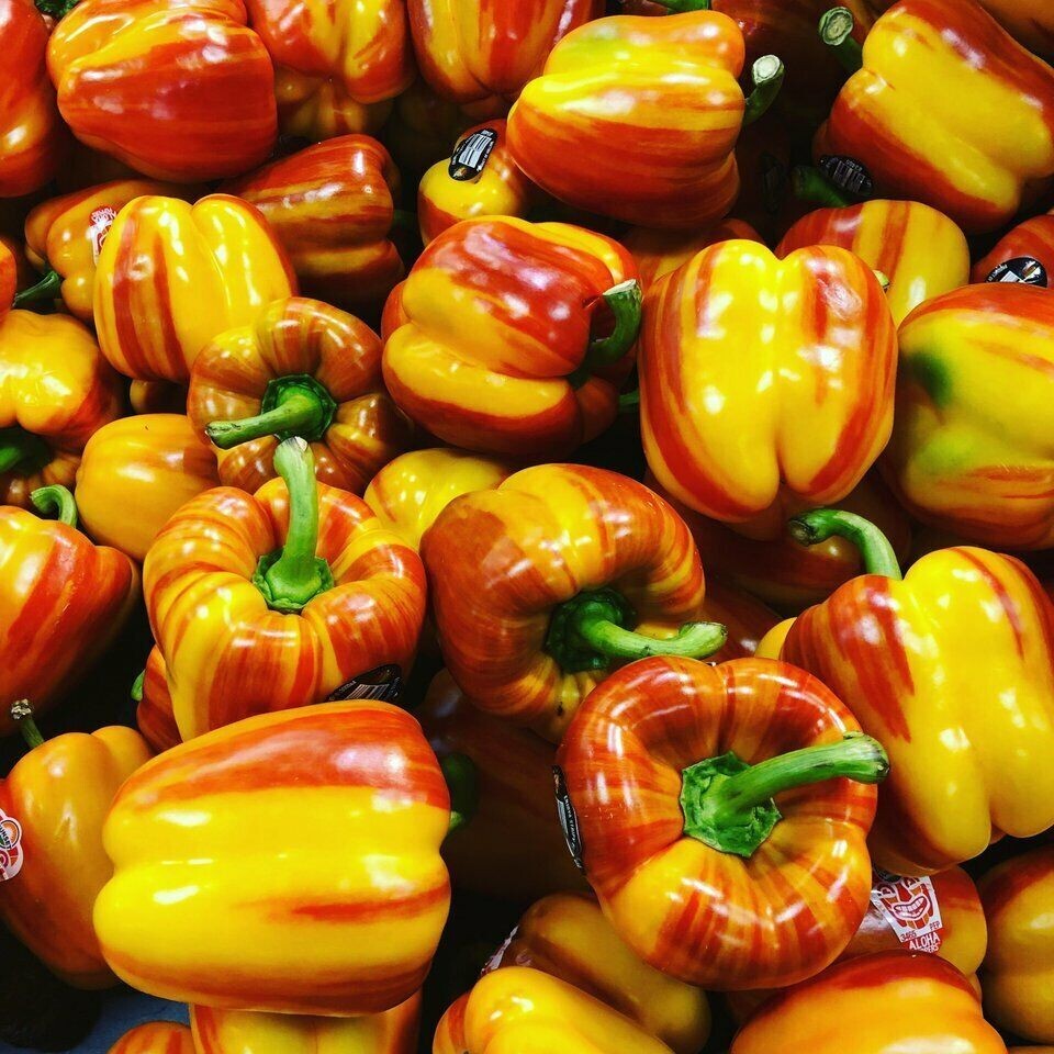20 Aloha Rainbow Sunset Bell Pepper Seeds , Organic NON – GMO , 2024 Season