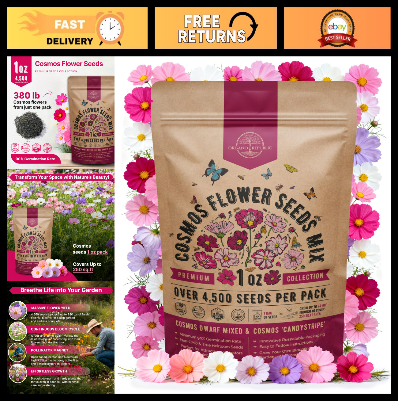Non-GMO Cosmos Flower Seeds Pack 1 oz – 4,500 Heirloom Seeds for Indoor & Outdoo