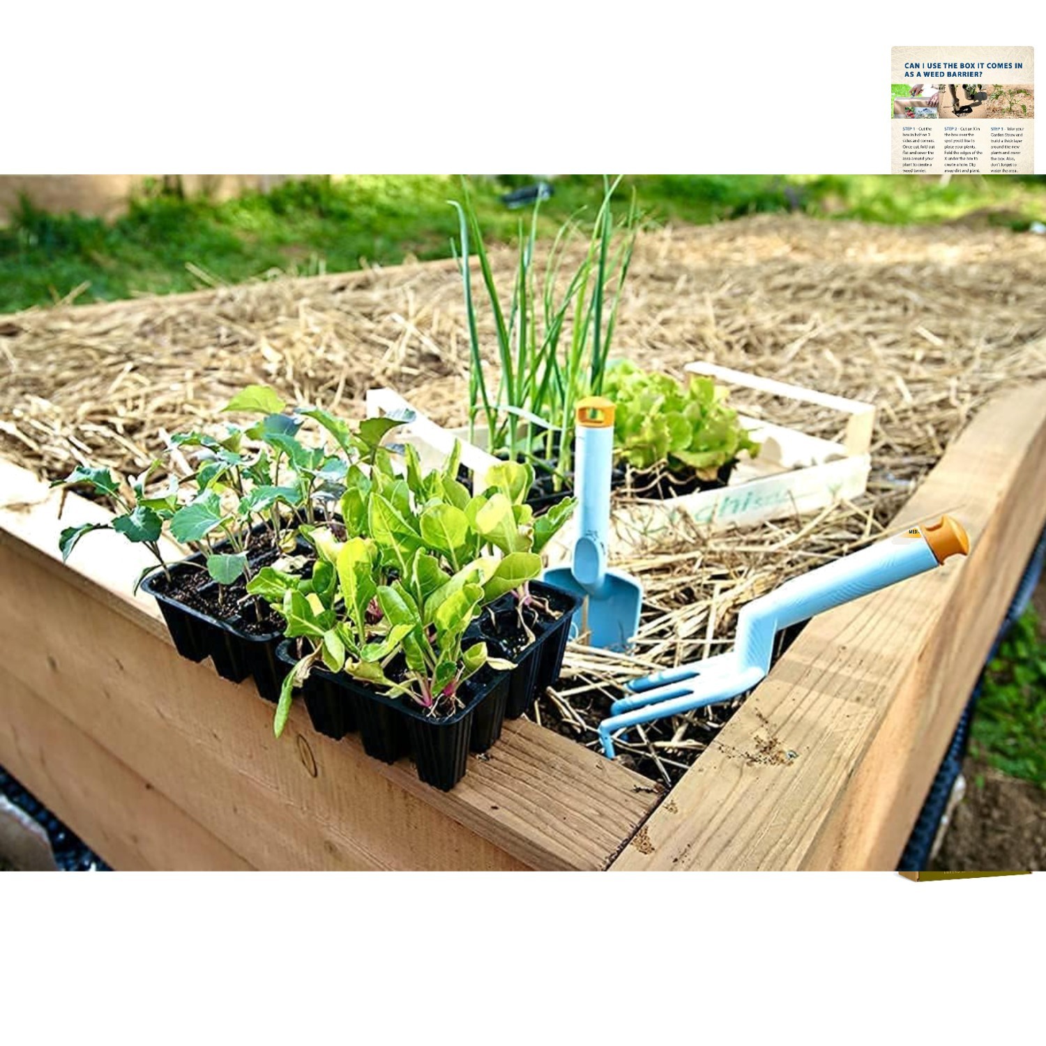 Pet-Friendly Organic Garden Straw 5 lb – Ideal for Mulching & Composting