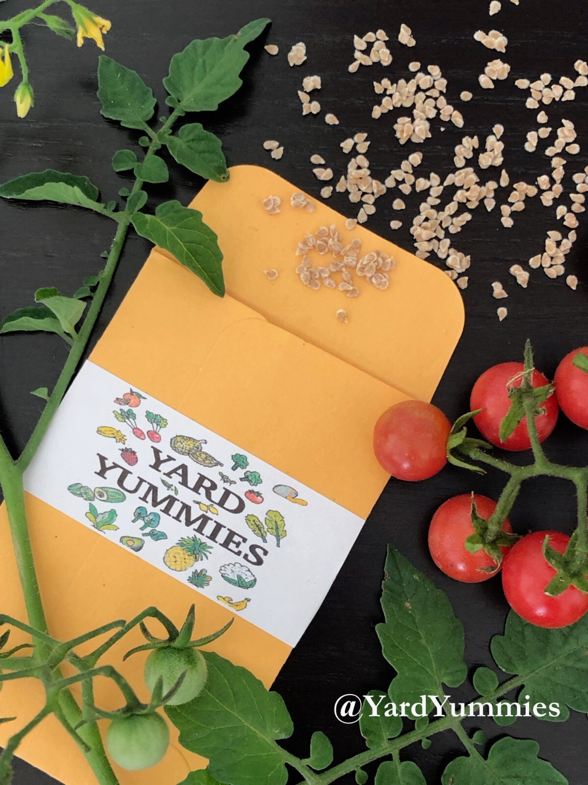 30 Florida Everglades Tomato SEEDS Heirloom Heat Tolerant Tomato Seeds