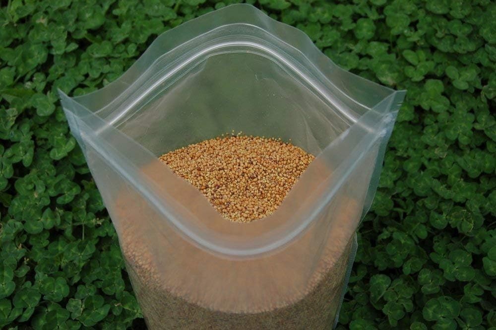 5lb Tri Clover Seed Mix for Spring Summer Fall Blooms Attracts Pollinators