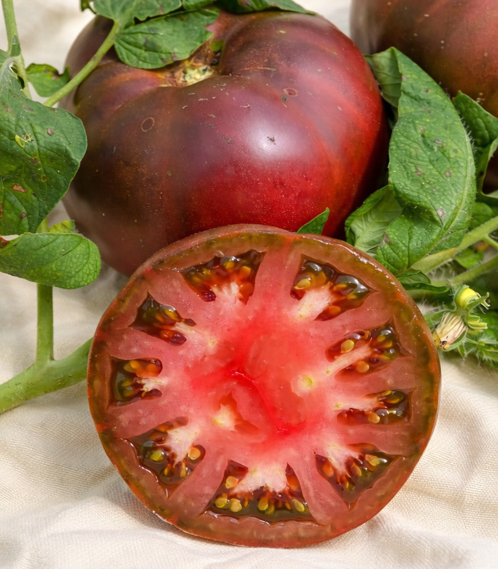 150 Heirloom Black Brandywine Tomato Seeds – Sweet Smokey Low Acid Indeterminate