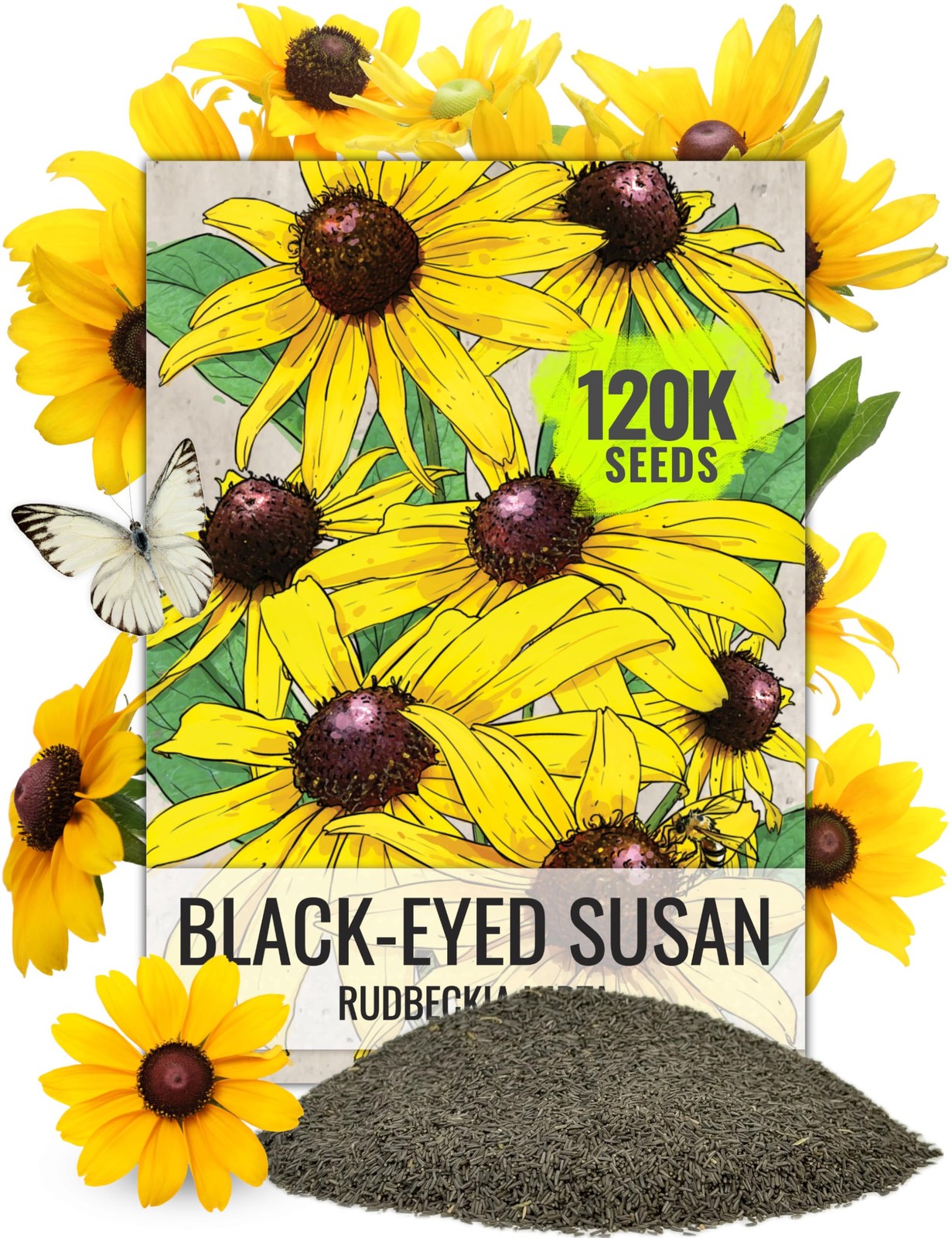 Seed Needs Black Eyed Susan Seeds for Planting 1200 Seeds Rudbeckia Hirta