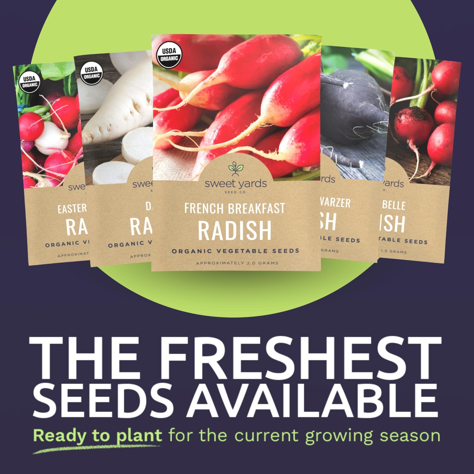 Organic Radish Seeds Variety Pack 5 NonGMO Packs for Indoor & Outdoor Use