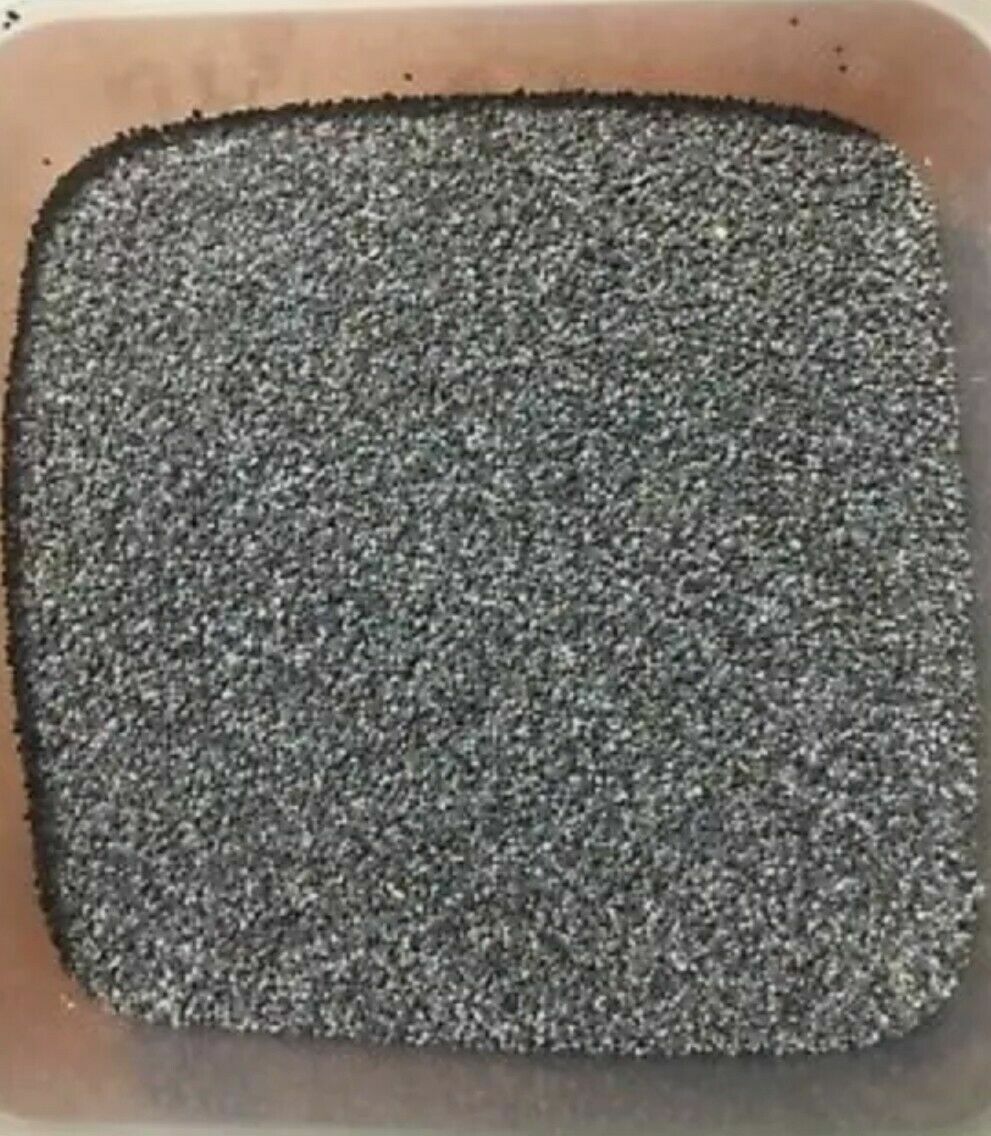 POPPY SEEDS UK. NEW 2023 HARVEST! 5 Lb STRONG from previous supplier of SN
