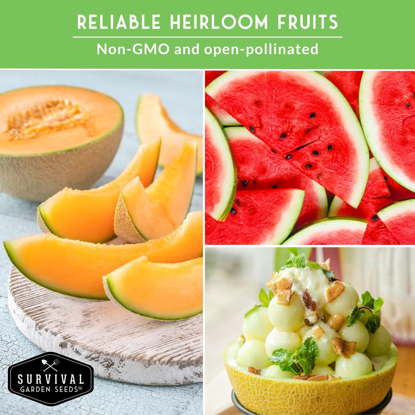 Melon Seeds for Planting Variety Pack – 6 Heirloom Cantaloupe, Honeydew & Wat…