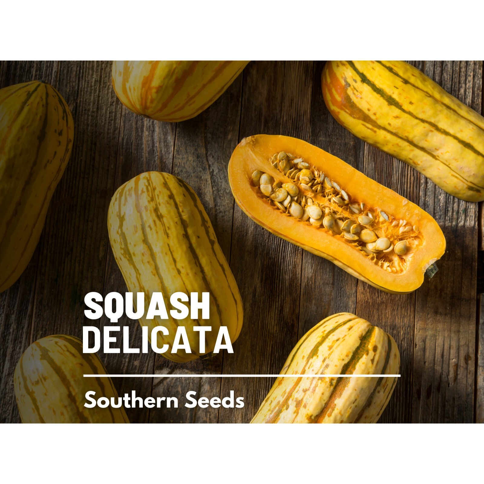 Squash, Delicata (Winter) – 20 Seeds – Heirloom Vegetable, Sweet Potato Squash,