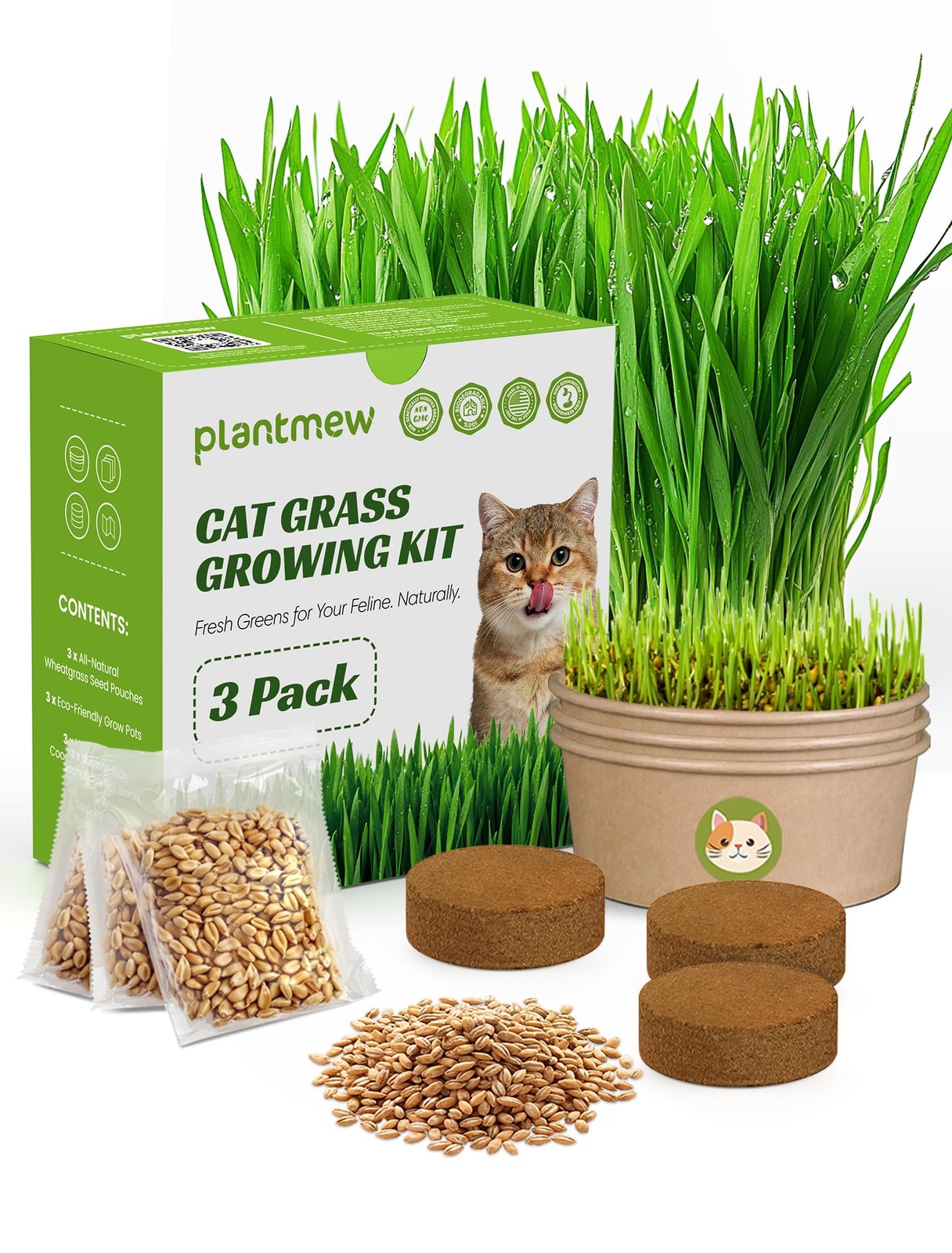Cat Grass Kit for Indoor Cats, 3 Pack Fast Growing Cat Grass Kit with Eco-Fri…