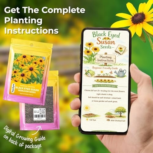 400,000+ Non-GMO Black Eyed Susan Seeds – Rudbeckia Hirta Wildflower for Garden,