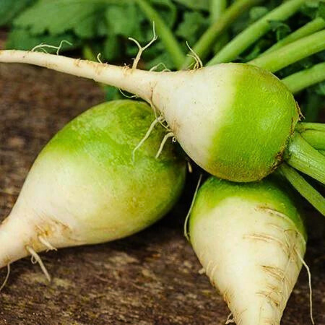 Fresh Premium Wasabi Radish Seeds | Heirloom Non-GMO | Asian Vegetable Seeds