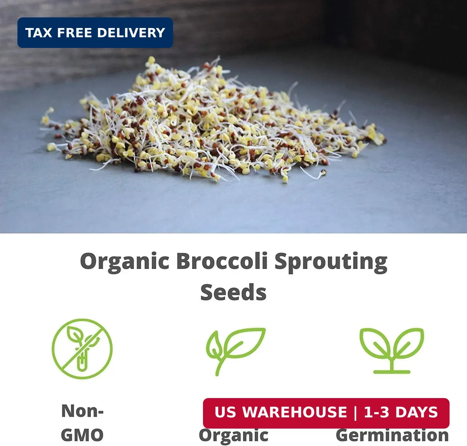 Organic Broccoli Sprouting Seeds By Handy Pantry | 8 oz. Resealable Bag | Non-GM