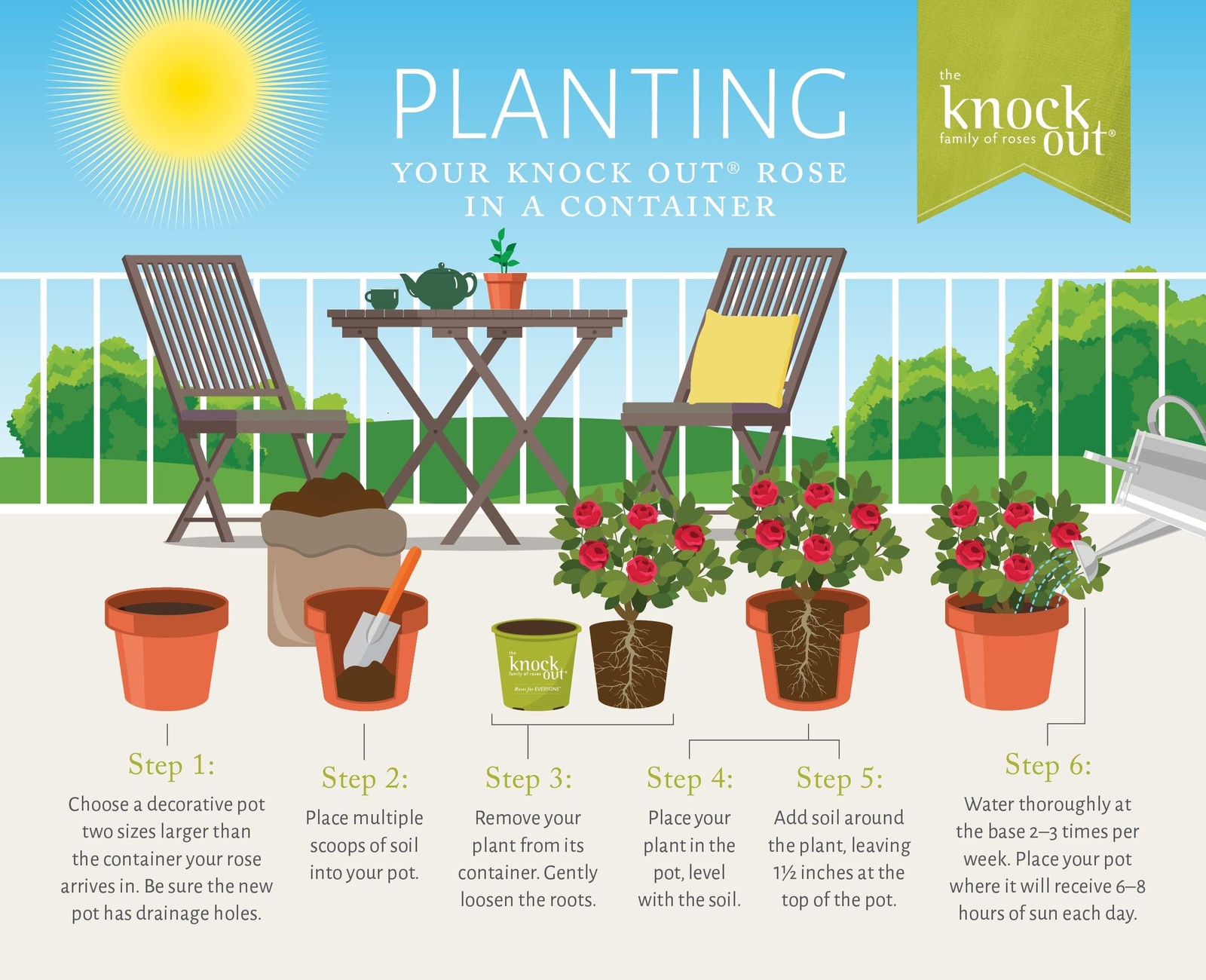 Double Knock Out Rose 1 Gallon Cherry Red 3-4′ H x 3-4′ W – Full Sun to Part