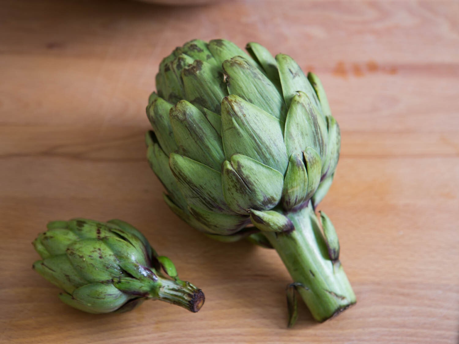 Artichoke Green Globe Improved Amish Seeds 30 NON – HYBRID Seeds, NON – GMO