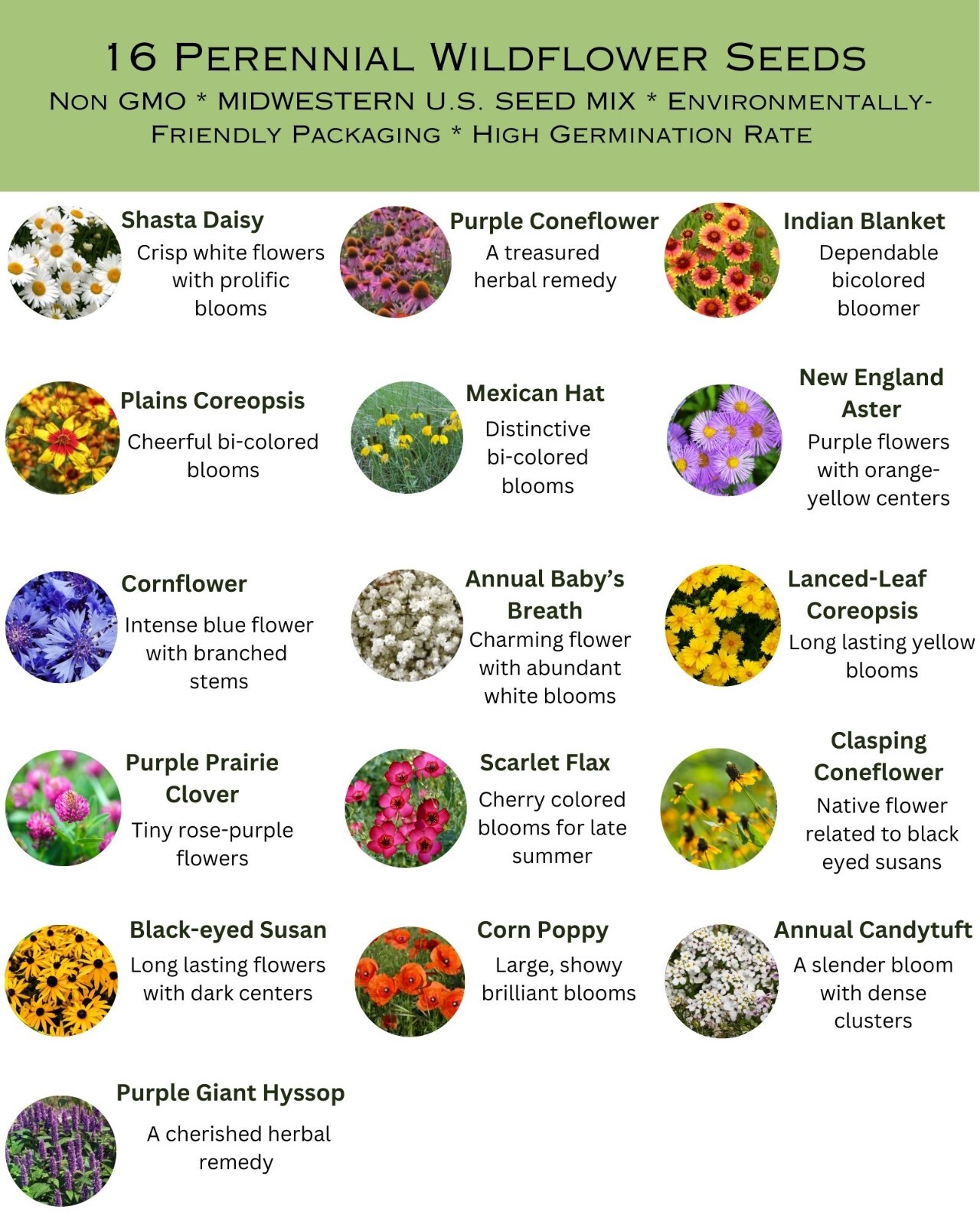 1/4LB Mid Western Regional Bulk Wildflower Seed Mix Colorful Blooms