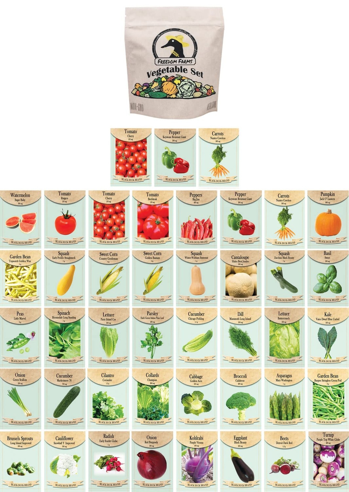 Set of 43 Assorted Vegetable & Herb Seed Packets – Over 10,000 Seeds! – Inclu…