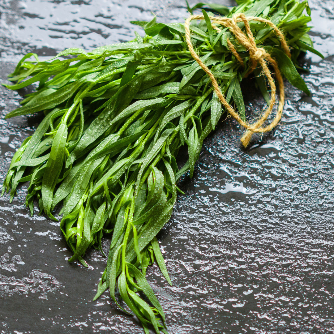 Fresh Tarragon Seeds | Cooking | Gardening | Heirloom Non-GMO | Herb Seeds