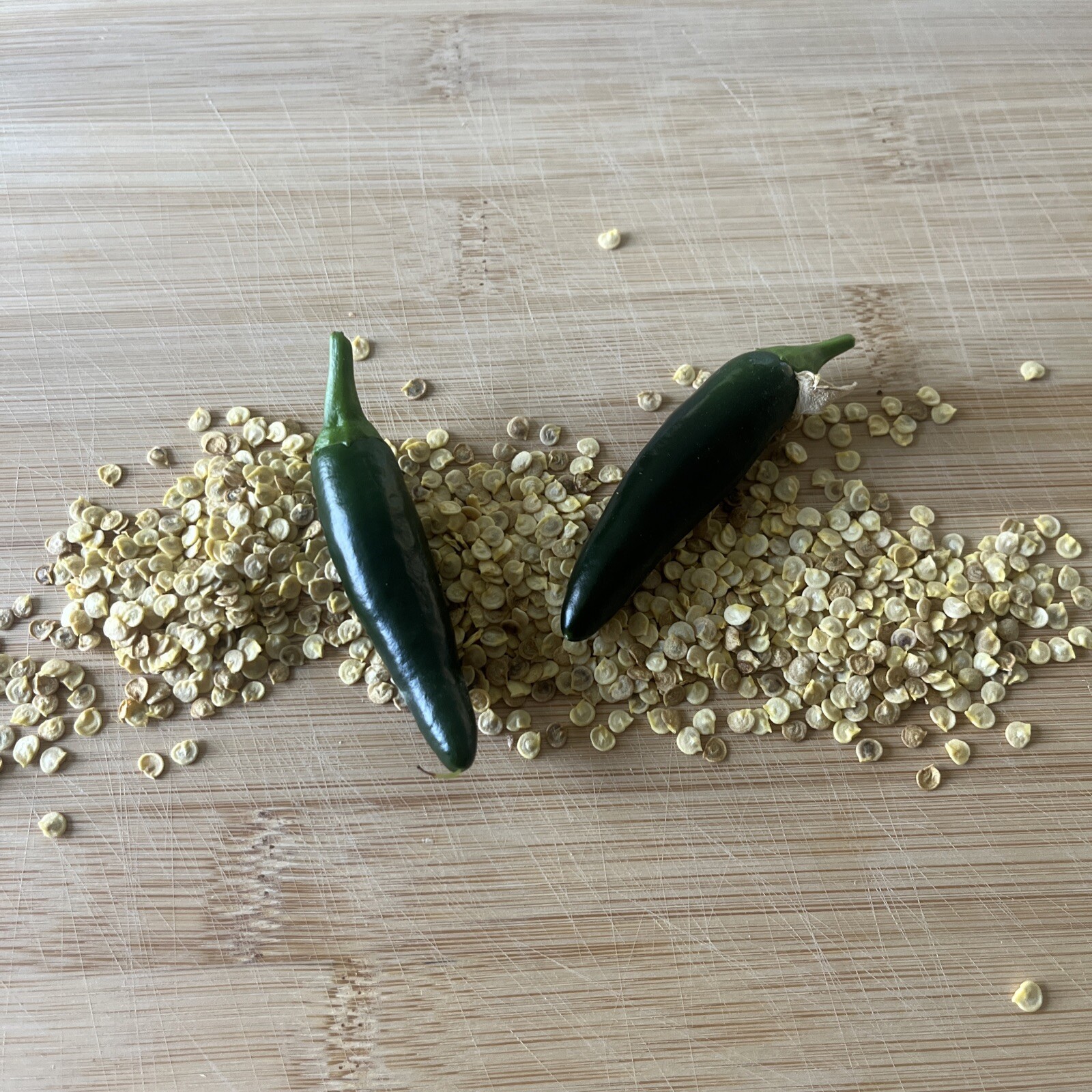 Jalapeno Pepper Seeds, HOT PEPPER, NON-GMO, JALAPENO POPPERS, FREE SHIPPING