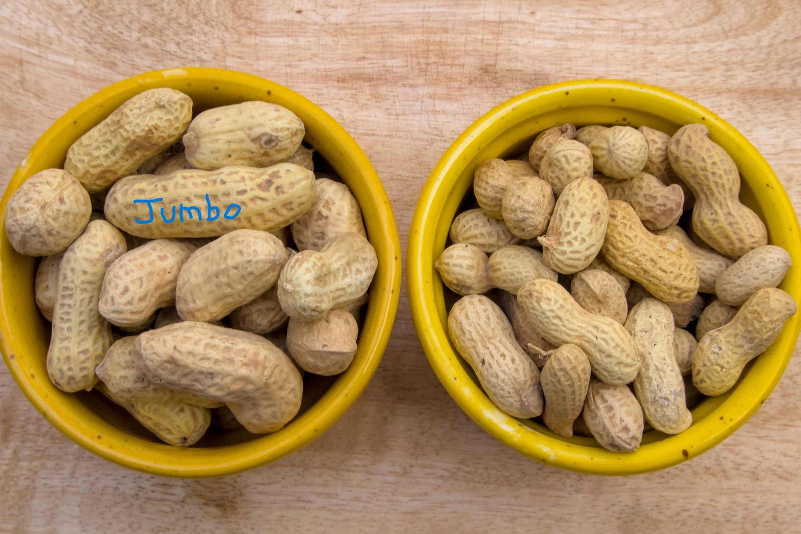 15 Seeds ‘ JUMBO ‘ VIRGINIA PEANUT Arachis Hypogaea Perennial Nut Plant