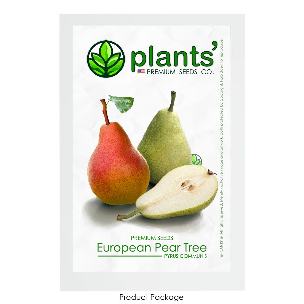 European Pear | Premium Seeds | Pyrus communis ‘Fruit’ | Plants’®