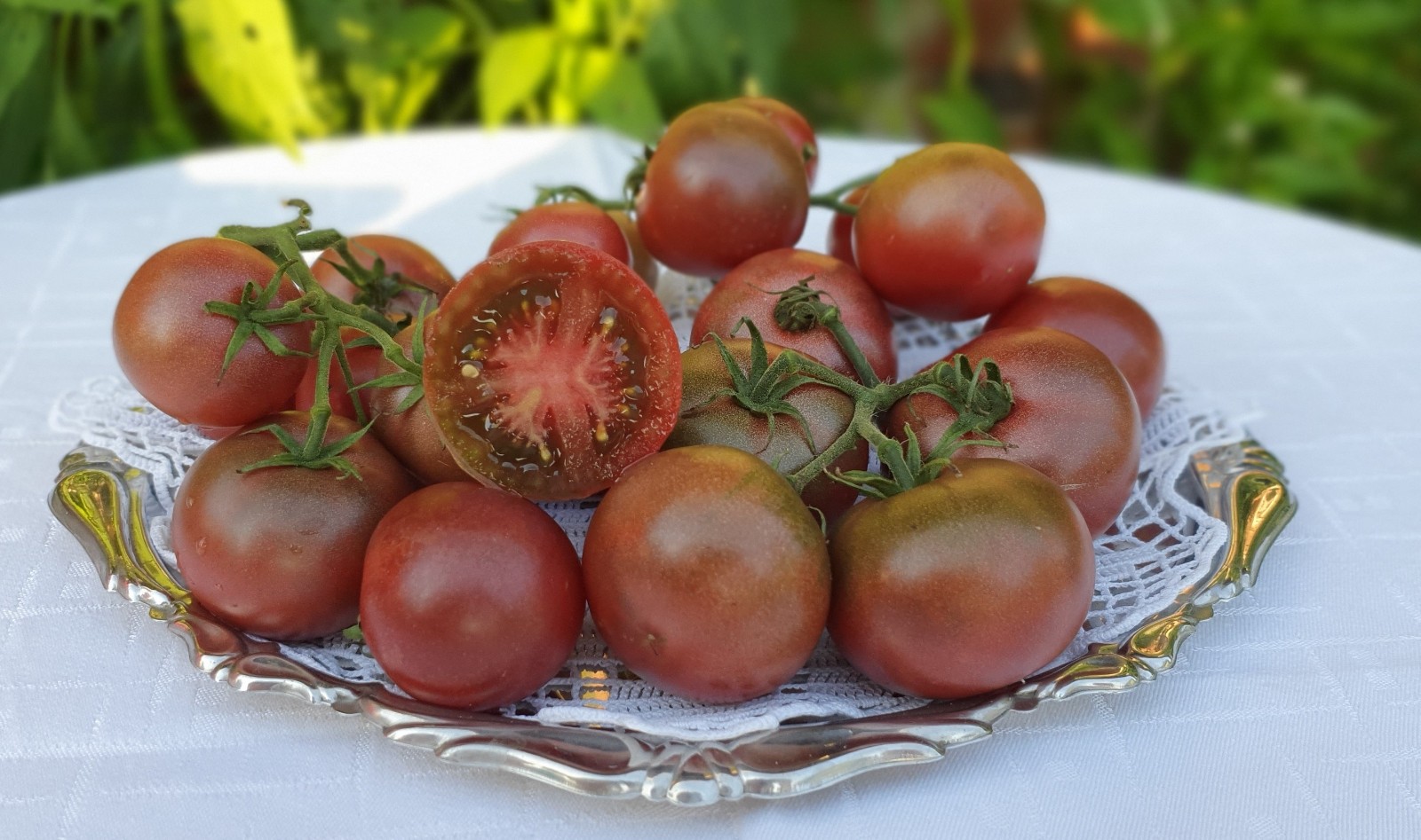 10 seeds Dwarf Velvet Night Tomato Purple cherry ORGANIC Rare Variety DTP