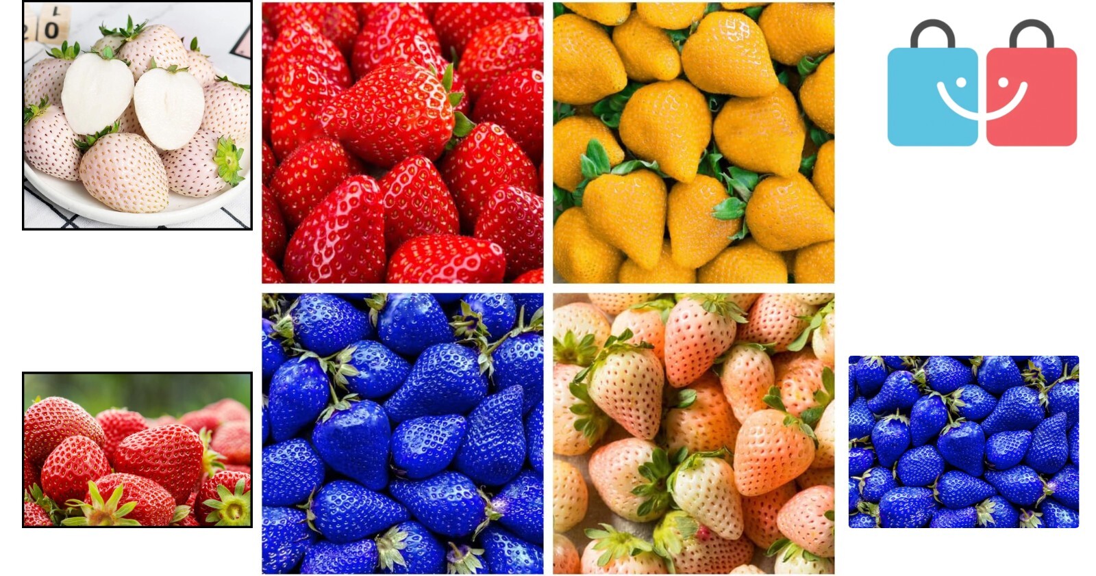 400+ Heirloom Non-GMO Mixed Strawberry Seeds – Sweet Red, Blue, White & Yellow