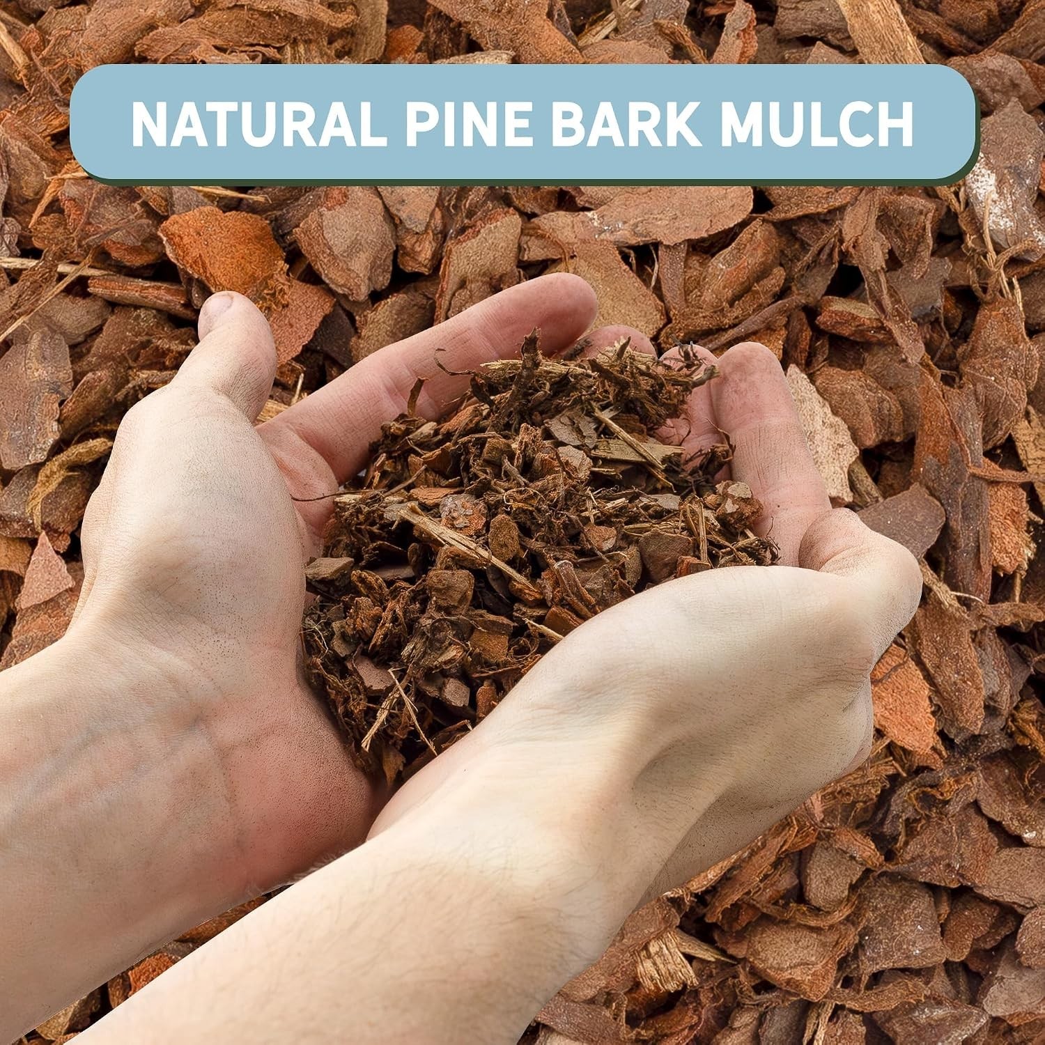 All-Natural Pine Bark Mulch for Soil Supplement and Houseplant Decor 8 Quarts