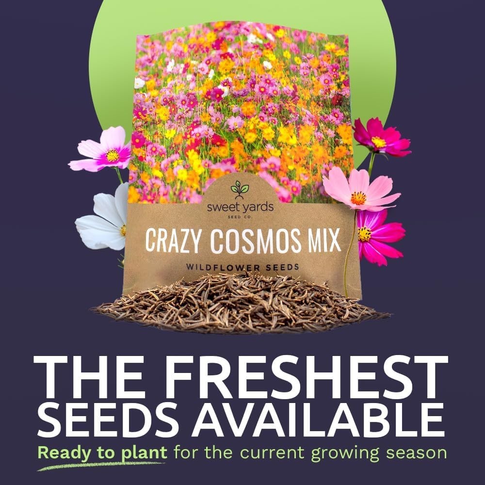 Cosmos Seeds Wildflower Mixture 1 Ounce Bulk 5000 Seeds for Vibrant Garden