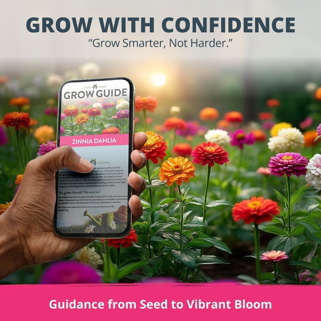 Zinnia Dahlia Seeds Pack for 2026 Non GMO 524 Flower Seeds | Vibrant Zinnia E…