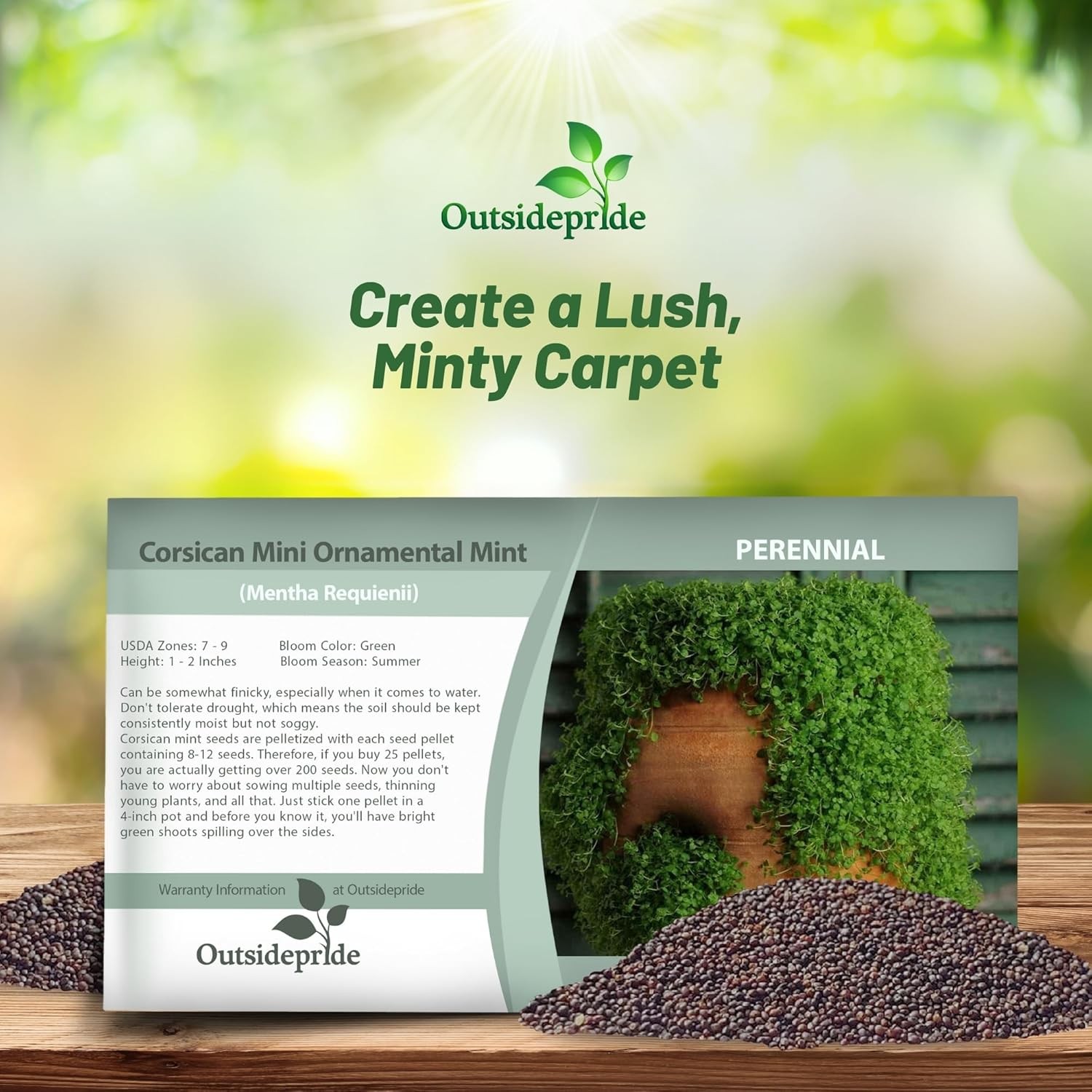 50 Pellets Corsican Mint Seeds For Planting | Ground Cover Plant Seed