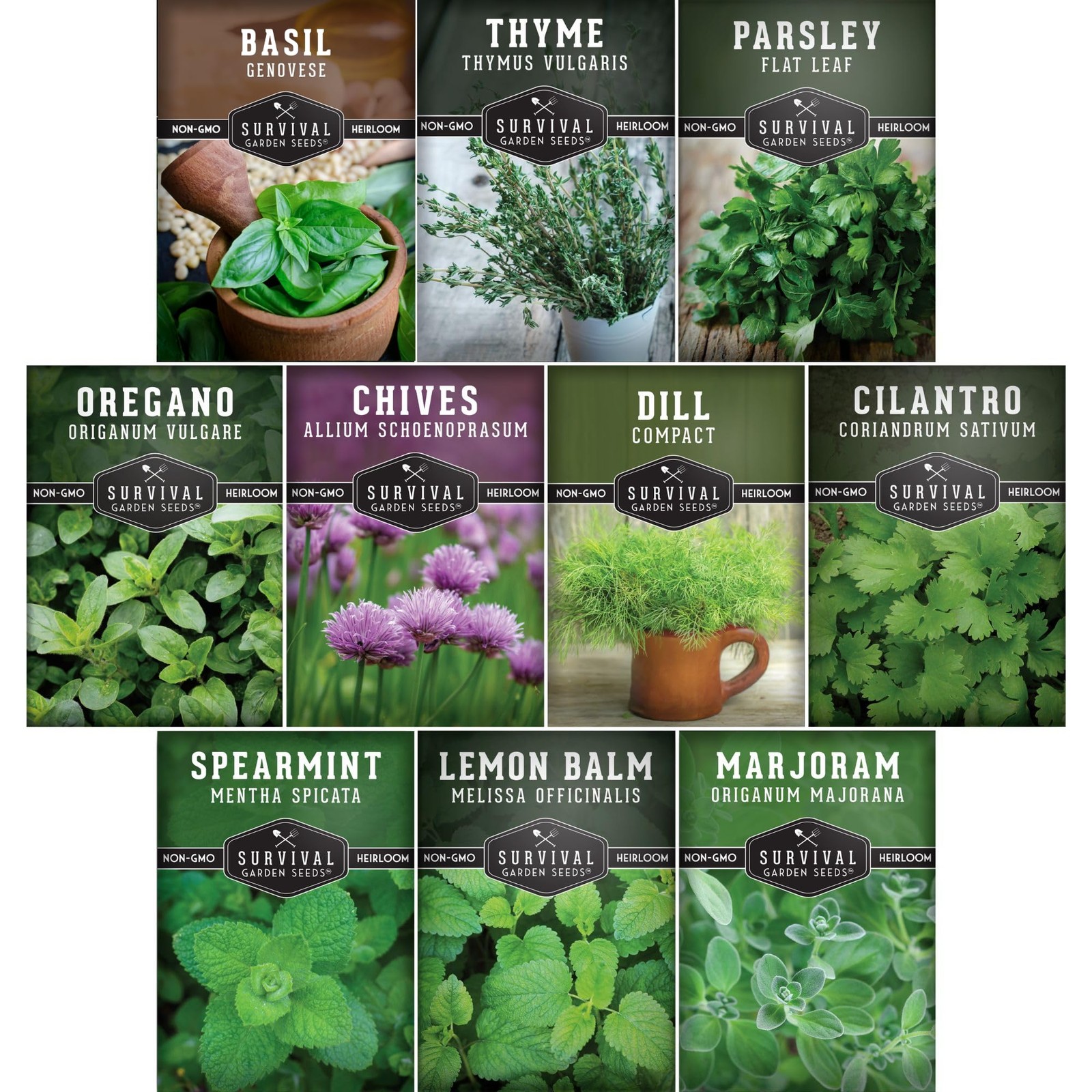 Indoor Herb Seeds Variety Pack | 10 Herbs for Planting – Basil, Mint, Parsley…