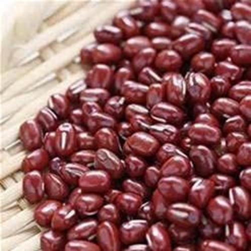 8 oz Adzuki Bean Seeds, Non-GMO Seed For Sprouting Sprouts Microgreens
