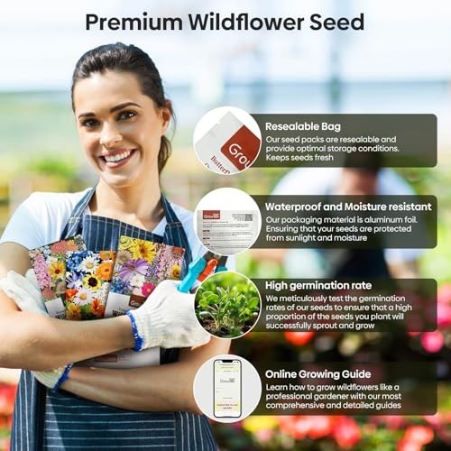 All Perennial Wildflower Seeds Bulk, 1/4 Lb, 100,000+ Seeds, 26 Variety Mix