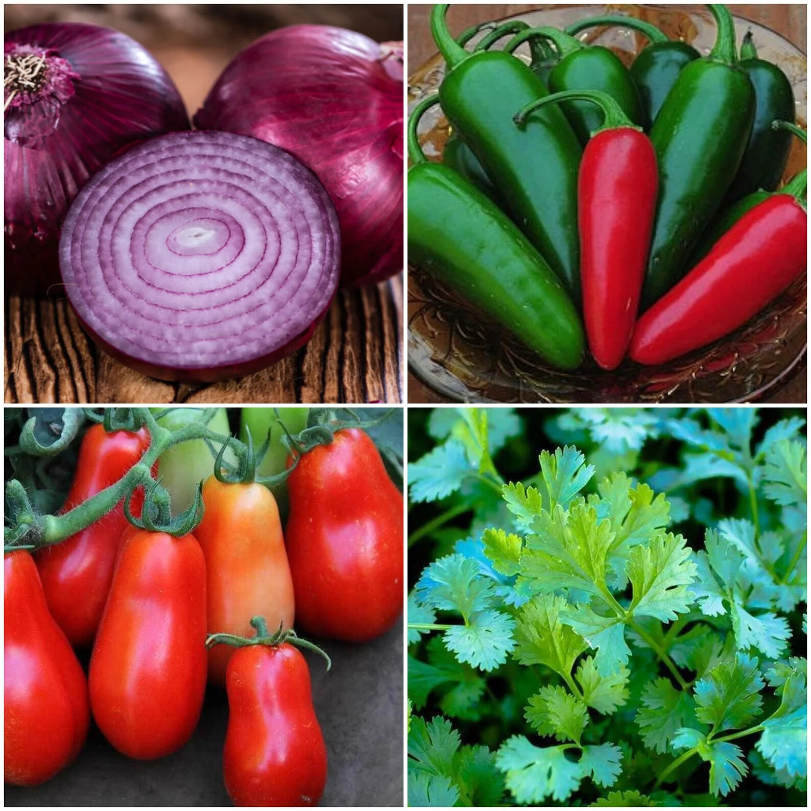 3 different grow your own salsa kits you choose NON-GMO seeds VERY EASY HEALTHY!