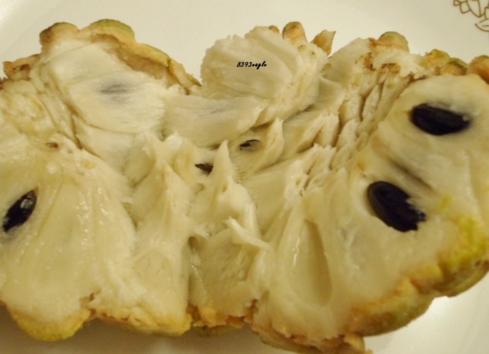 20 Seeds from 2022 Organic Sugar Apple Annona Squamosa Tropical Fruit Plant -U.S