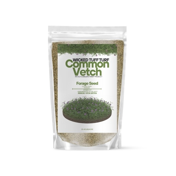 Old Cobblers Farm™ Wicked Tuff Turf Common Vetch Seed – Quick Green Cover