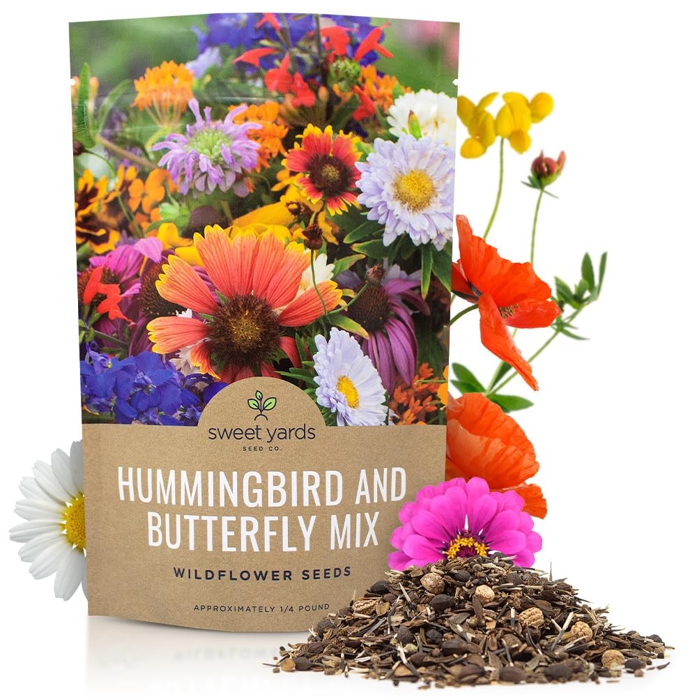 1/4 Pound Wildflower Seeds Butterfly Hummingbird Mix Over 30000 Open Pollinated