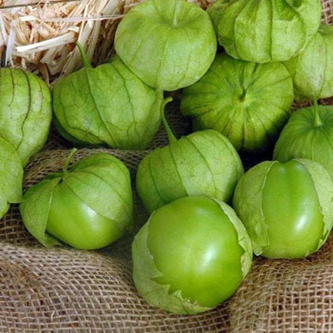 125+ Grande Rio Verde Tomatillo Seeds – Large Green Fruit – Heirloom, Non-GMO