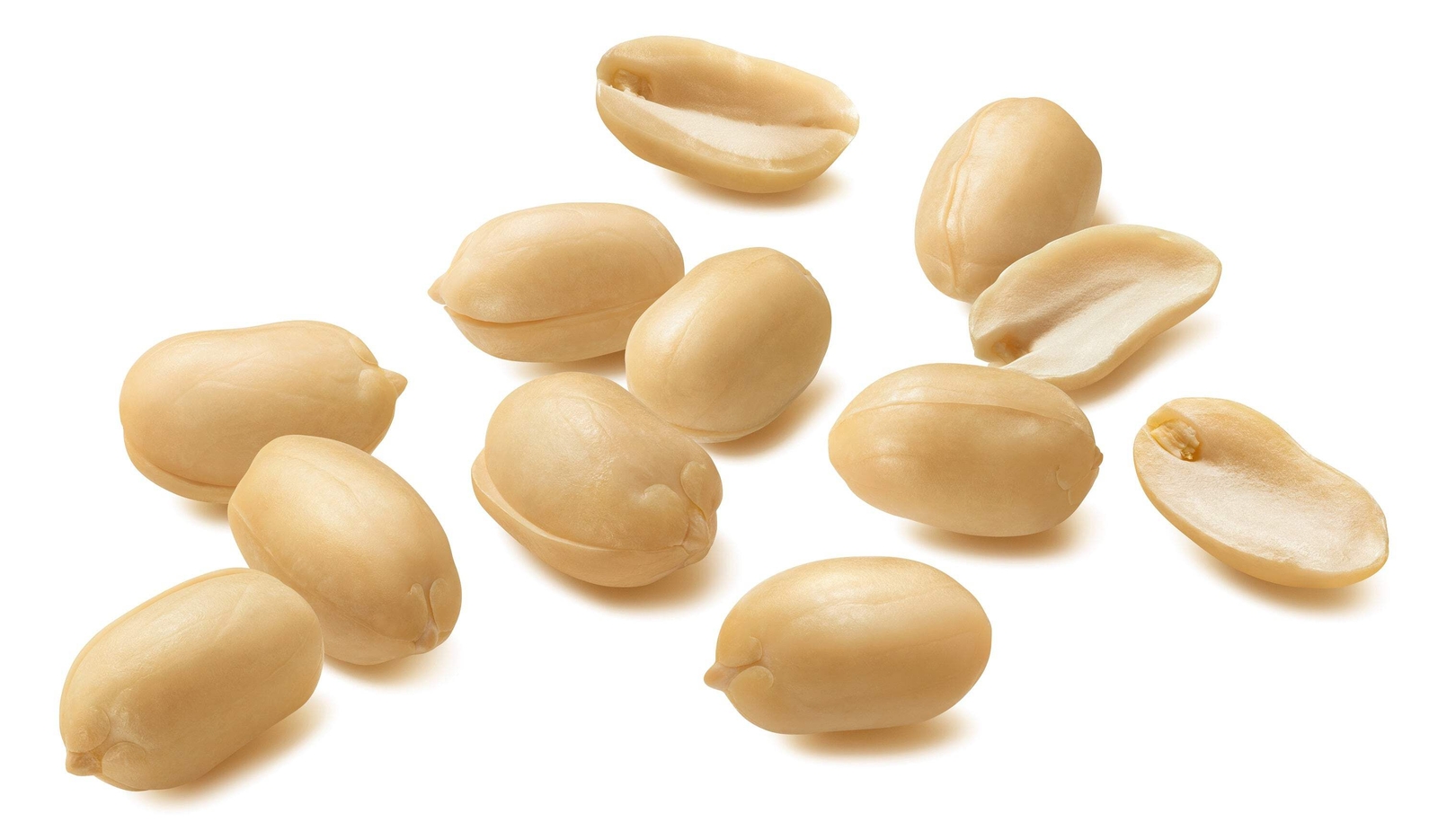 20 Seeds Early SPANISH PEANUT Arachis Hypogaea Perennial Nut Plant