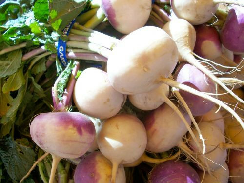 Turnip Green 650+Seeds (Purple Top White Globe) NON-GMO Heirloom Vegetable See