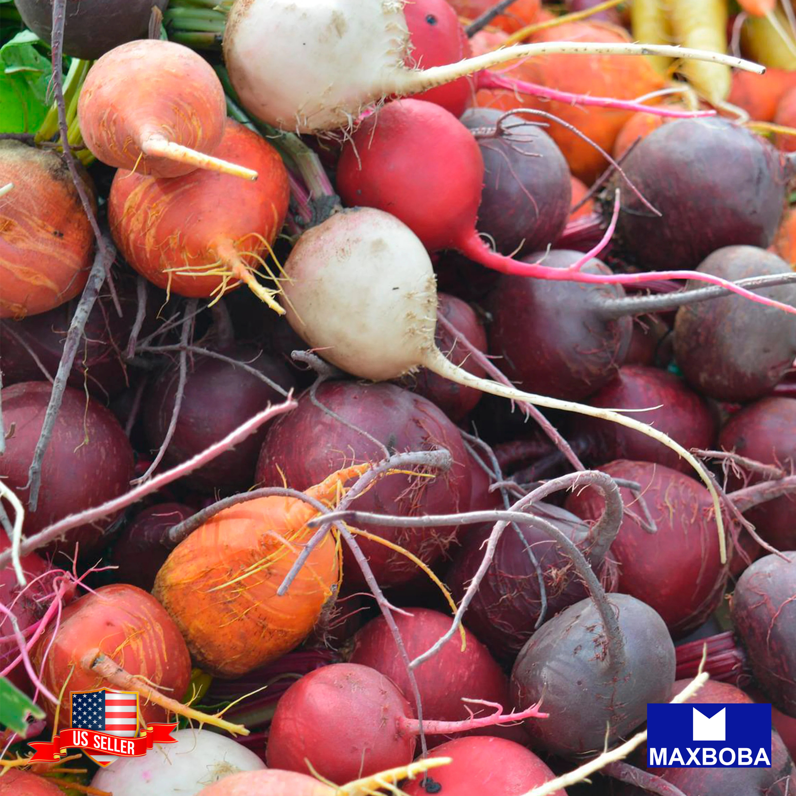 Fresh!! Beet Seeds Non-GMO Heirloom Vegetable