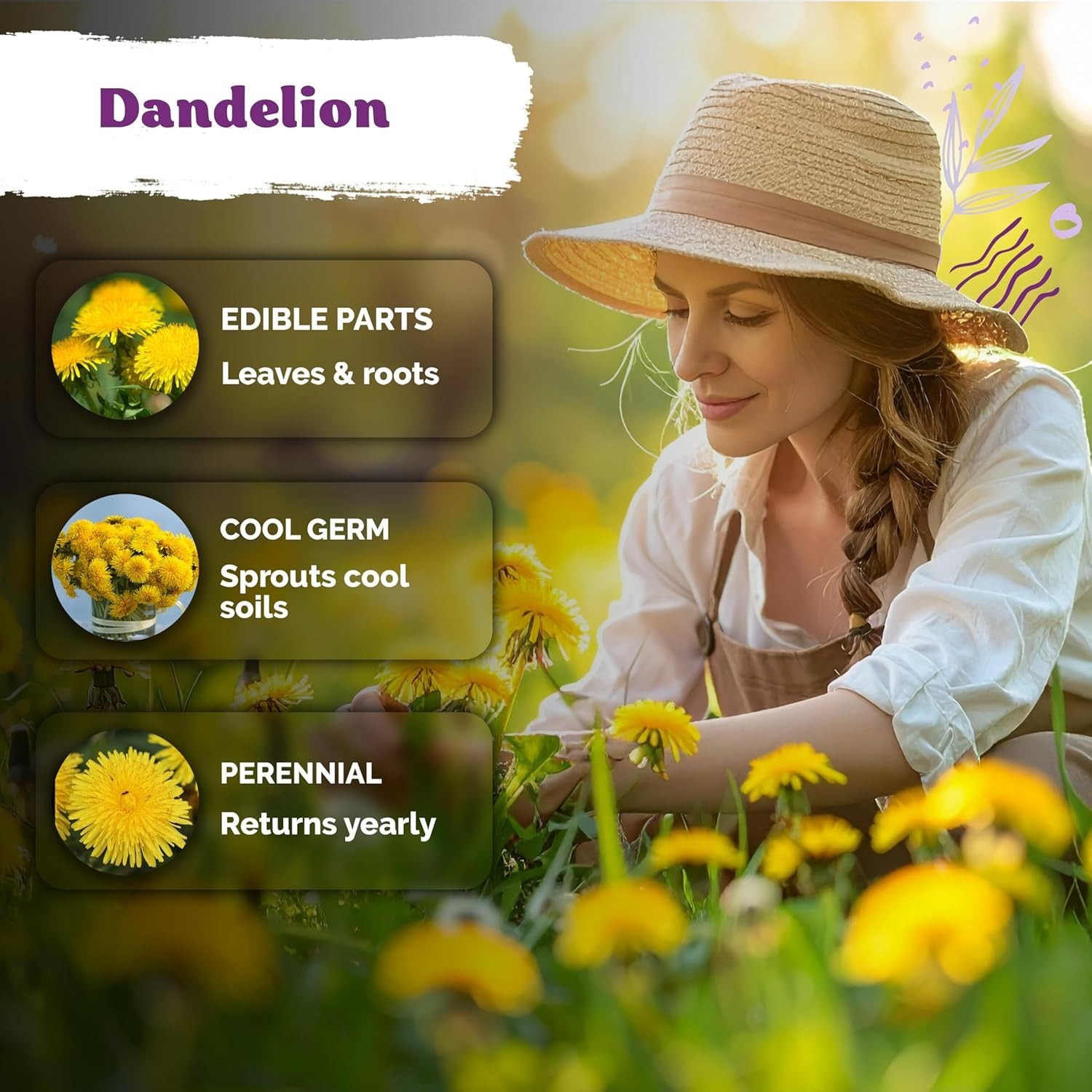 750 High Germination Dandelion Seeds – Sustainable Edible Herb for All Seasons