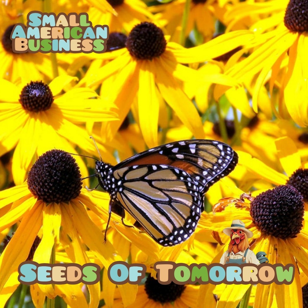 5000 Organic Black Eyed Susan Flower Seeds Non-GMO Heirloom- With Bonus!