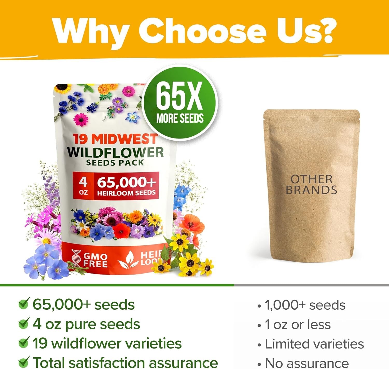 Non-GMO Midwest Wildflower Seeds – Easy Growth for Spring to Summer Gardens