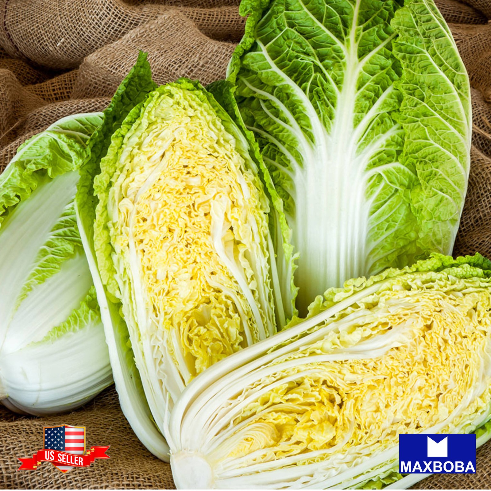 300 Kyoto No. 3 Chinese Cabbage Seeds Non-GMO Heirloom BTGO 75% OFF