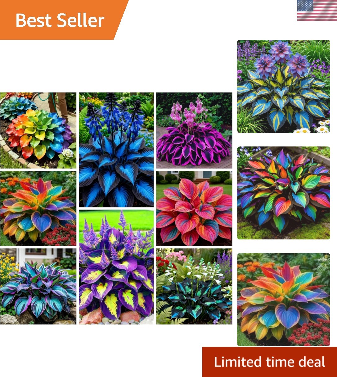 290+ Heirloom Hosta Plants: Vibrant Low-Maintenance Seeds for -Round Beauty
