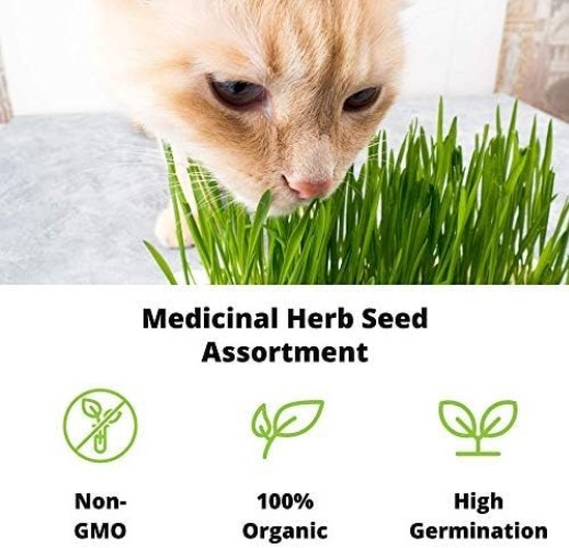Organic Cat Grass Seeds – Non-GMO Wheatgrass, 12 oz Pet-Friendly Treat