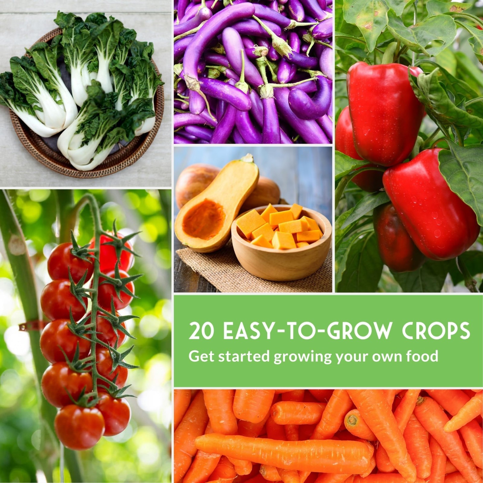 Heirloom Vegetable Garden Starter Kit – 20 Non-GMO Seeds for Beginners | Indoor/