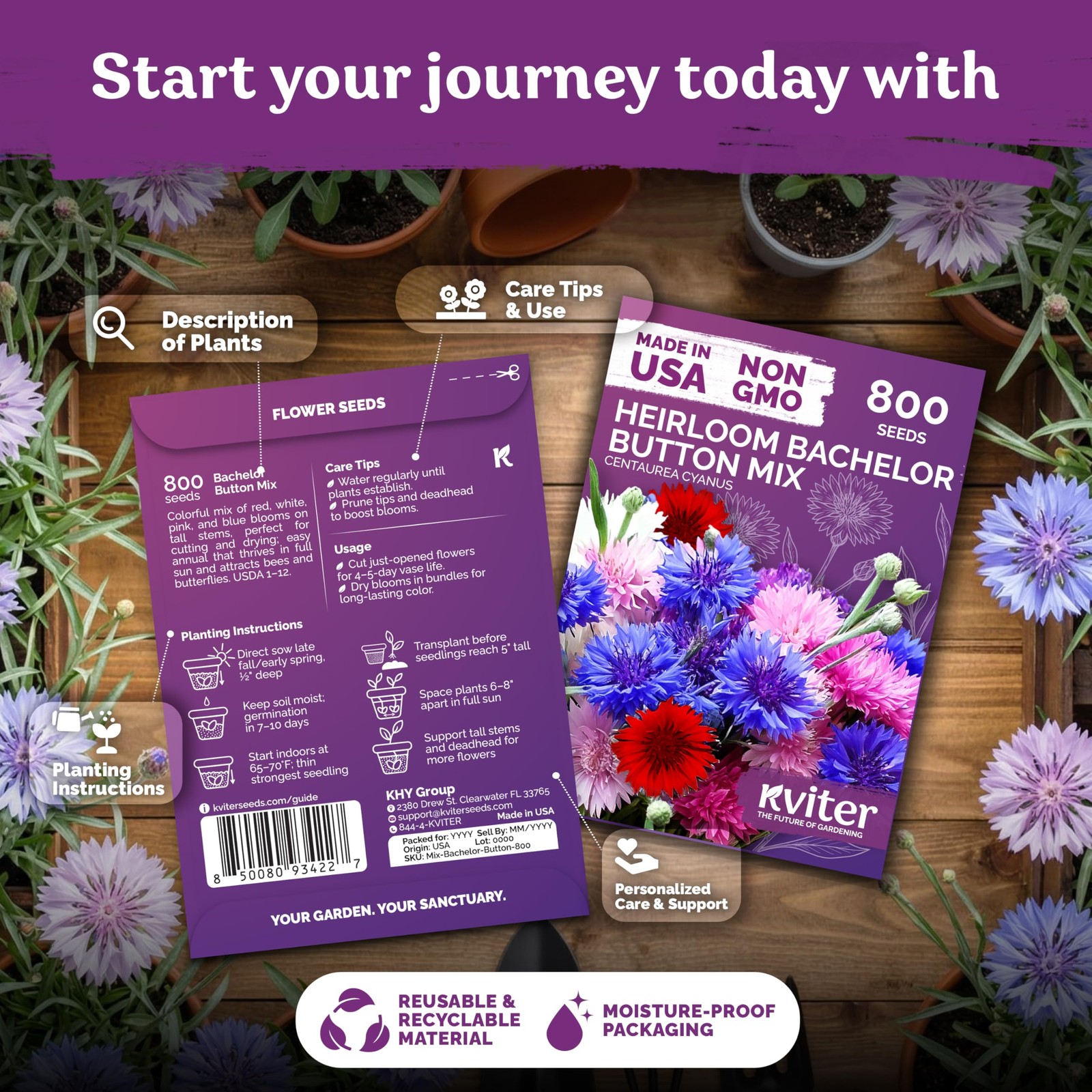 KVITER 1,600 Mix Bachelor Button Seeds (Centaurea cyanus), 2 Pack